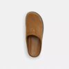 Sport Clog