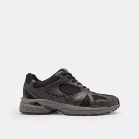 Sport Sneaker in Signature Canvas