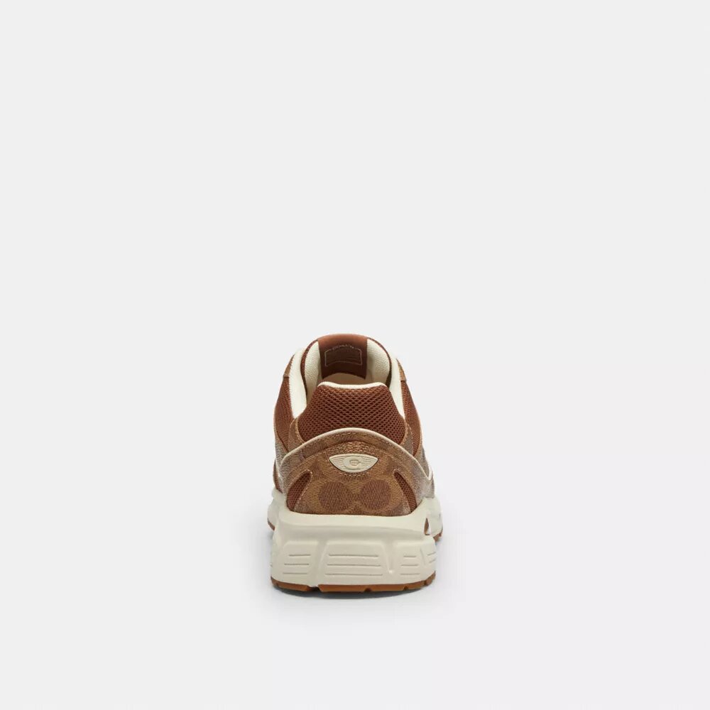 Sport Sneaker in Signature Canvas