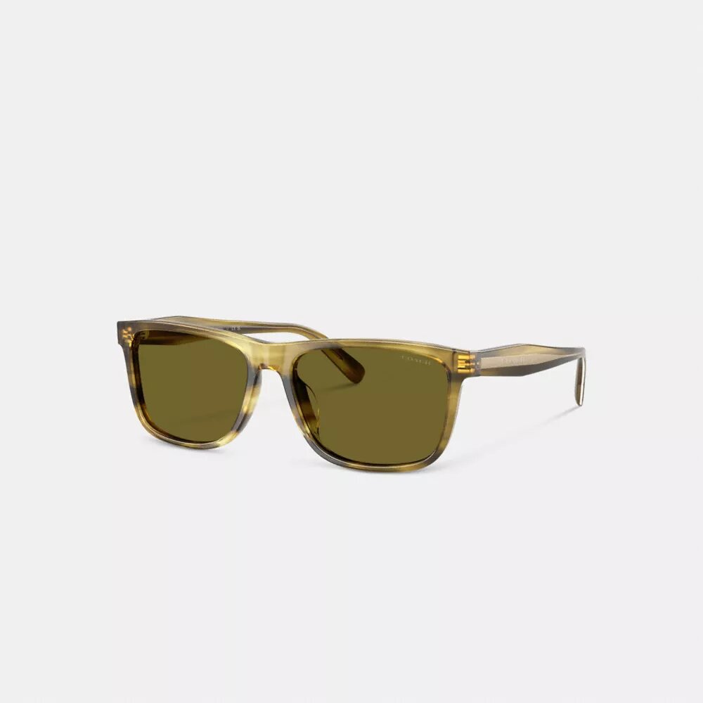 Square Sunglasses