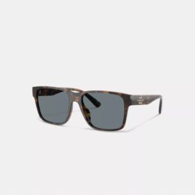 Square Sunglasses