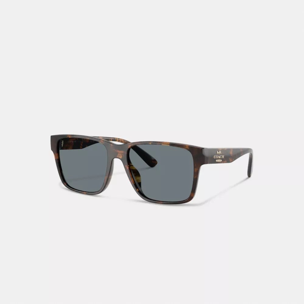 Square Sunglasses