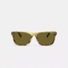 Square Sunglasses
