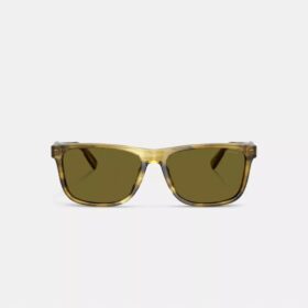 Square Sunglasses