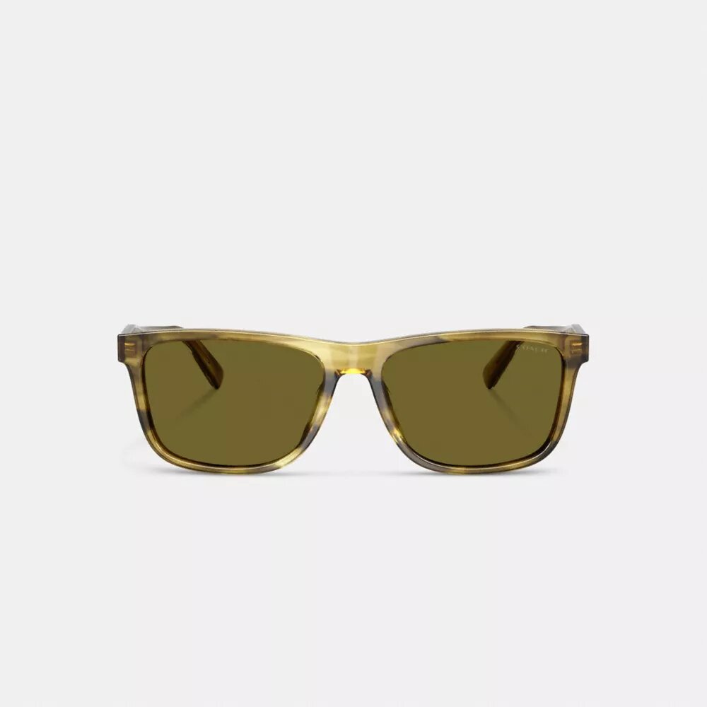 Square Sunglasses