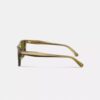 Square Sunglasses