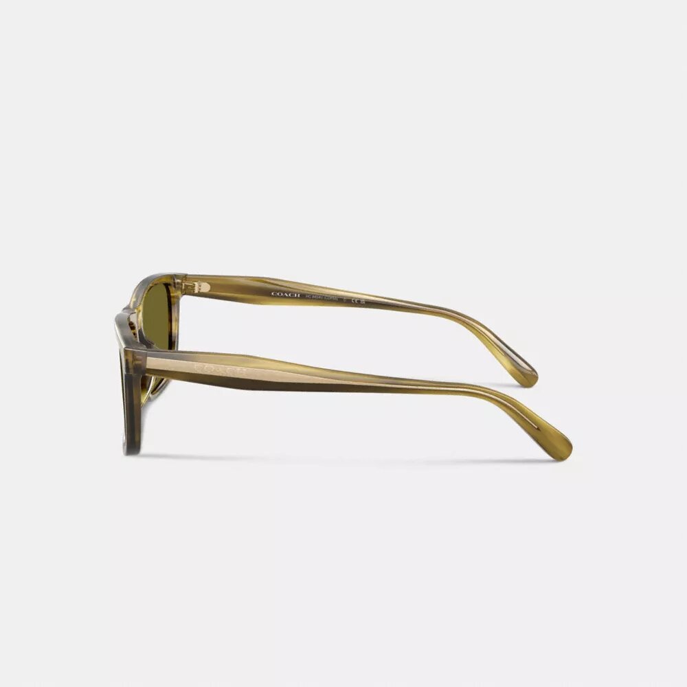 Square Sunglasses
