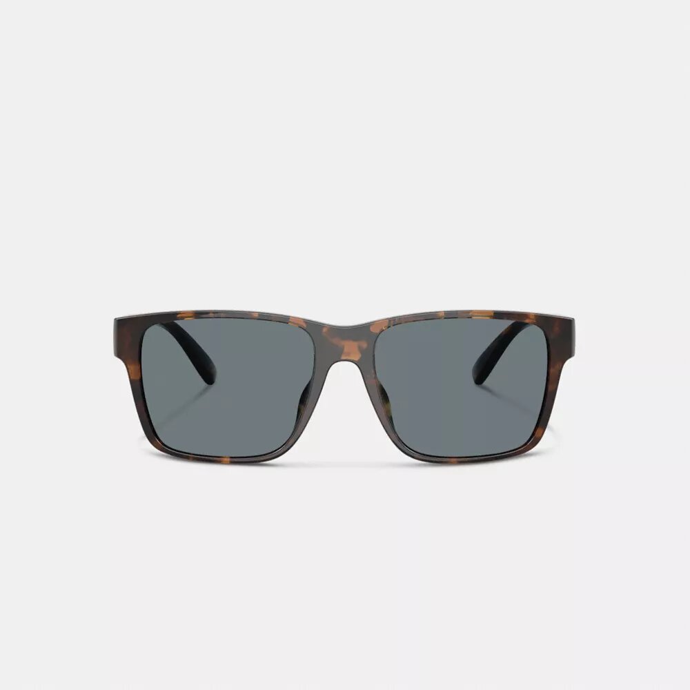 Square Sunglasses