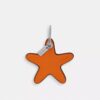 Star Bag Charm