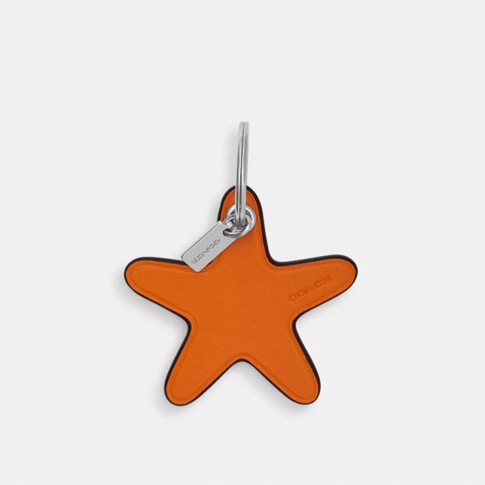Star Bag Charm