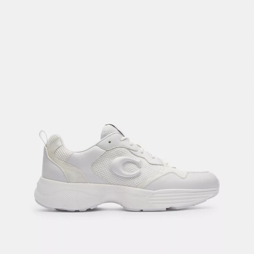 Strider Sneaker in Signature Canvas
