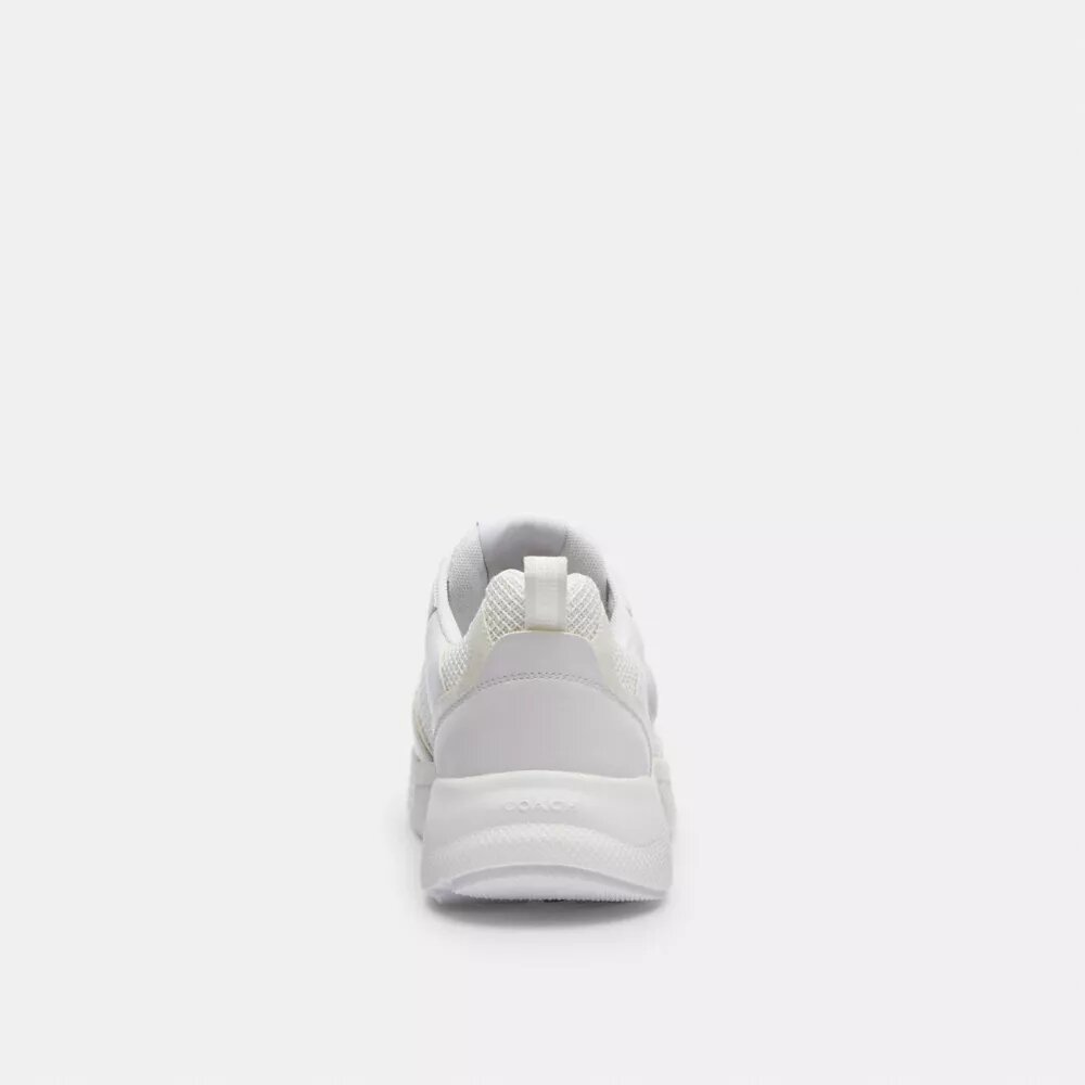 Strider Sneaker in Signature Canvas