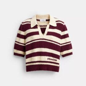 Striped Knit Polo