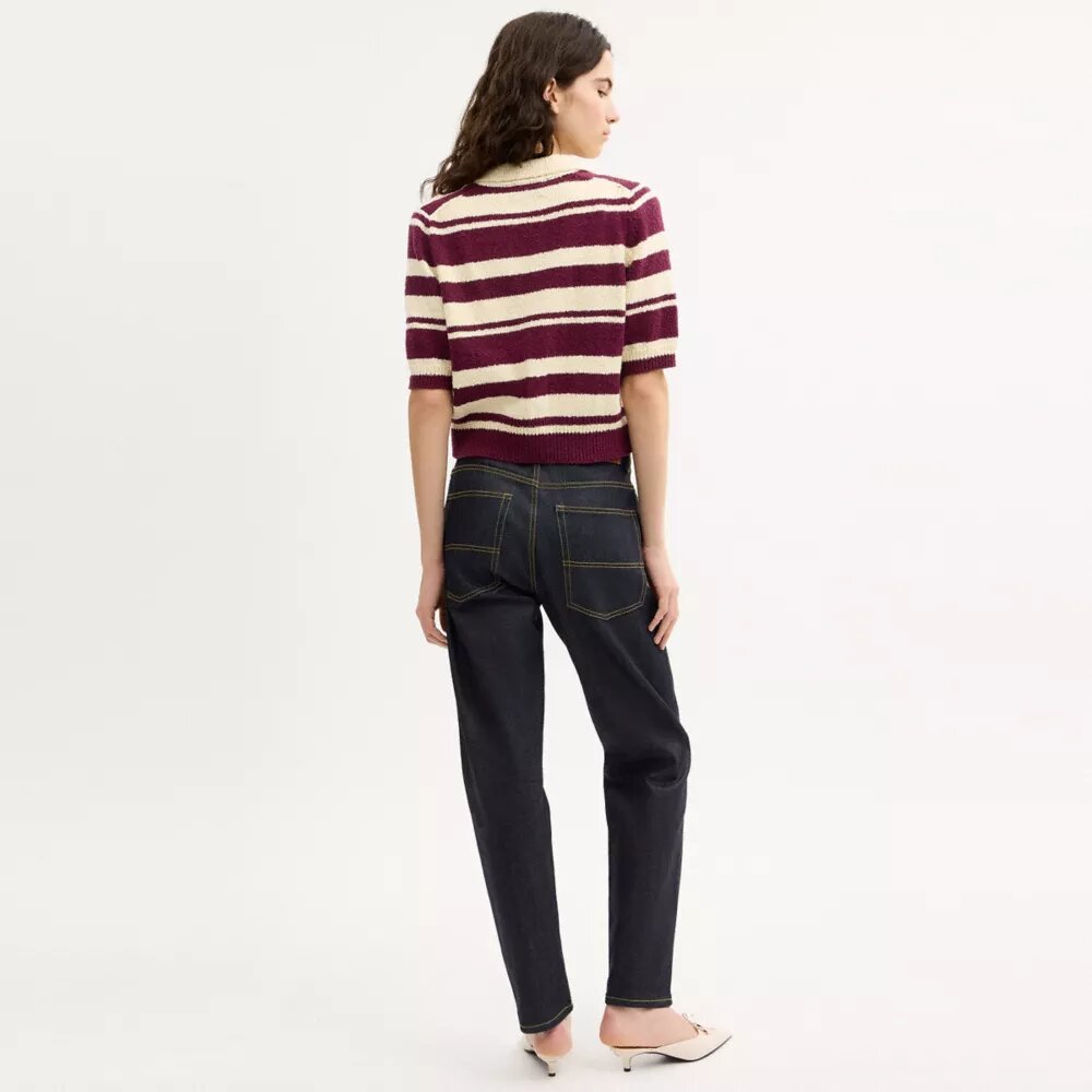 Striped Knit Polo