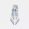 Tabby Cherry Print Silk Wide Skinny Scarf