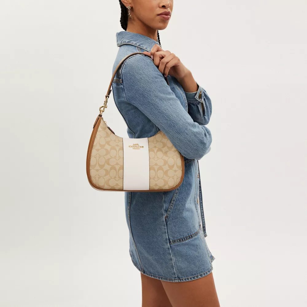 Teri Hobo Bag in Signature Canvas with Stripe