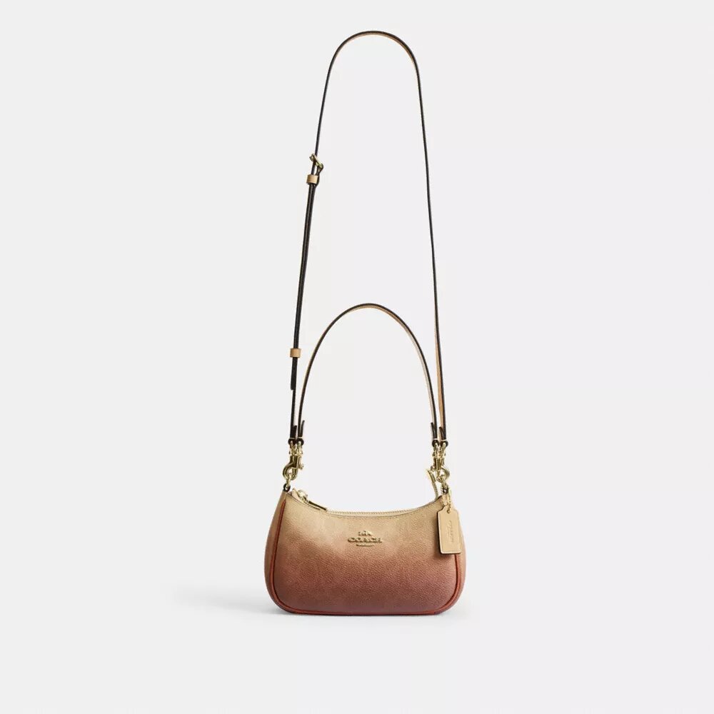 Teri Mini Crossbody Bag in Ombre Signature Canvas
