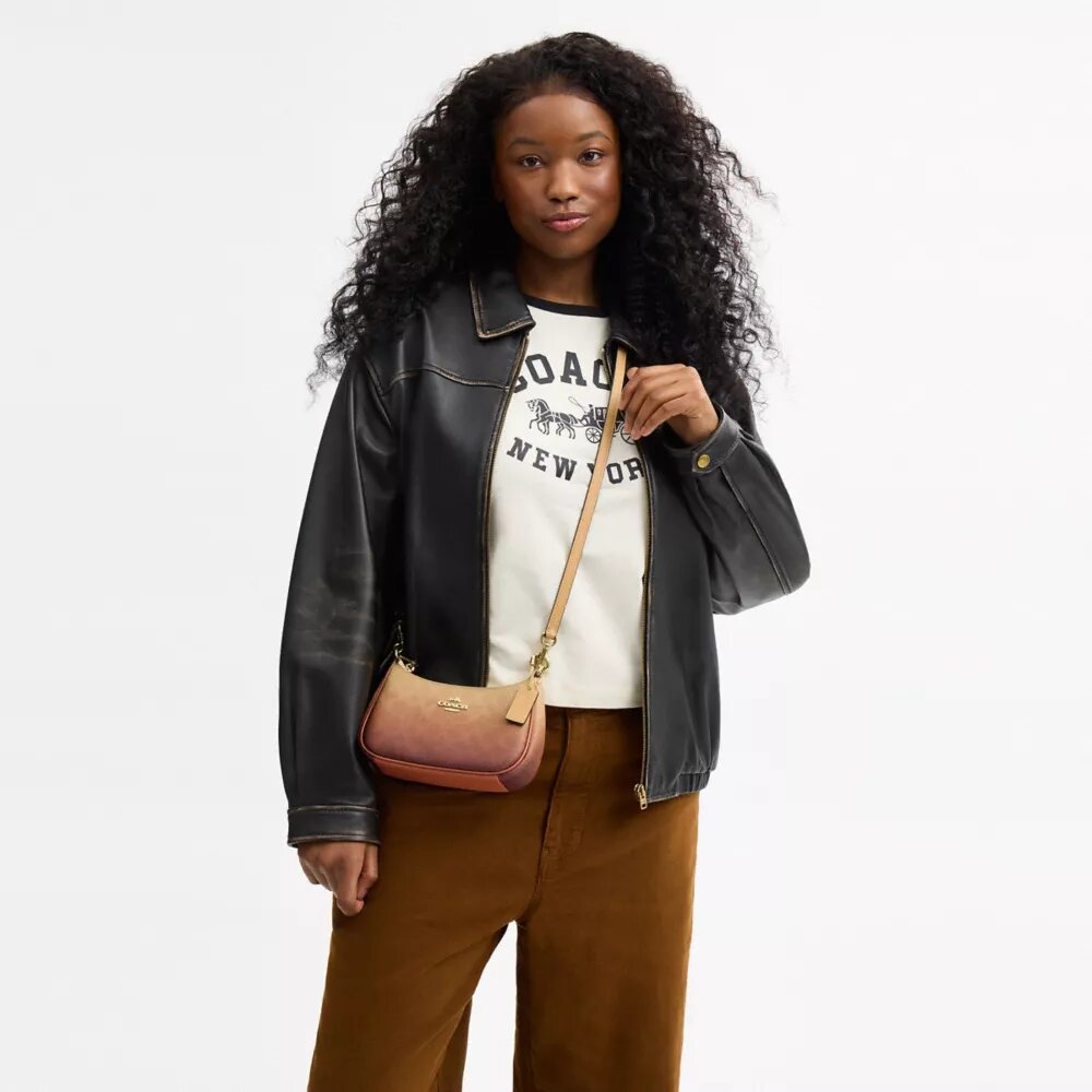 Teri Mini Crossbody Bag in Ombre Signature Canvas