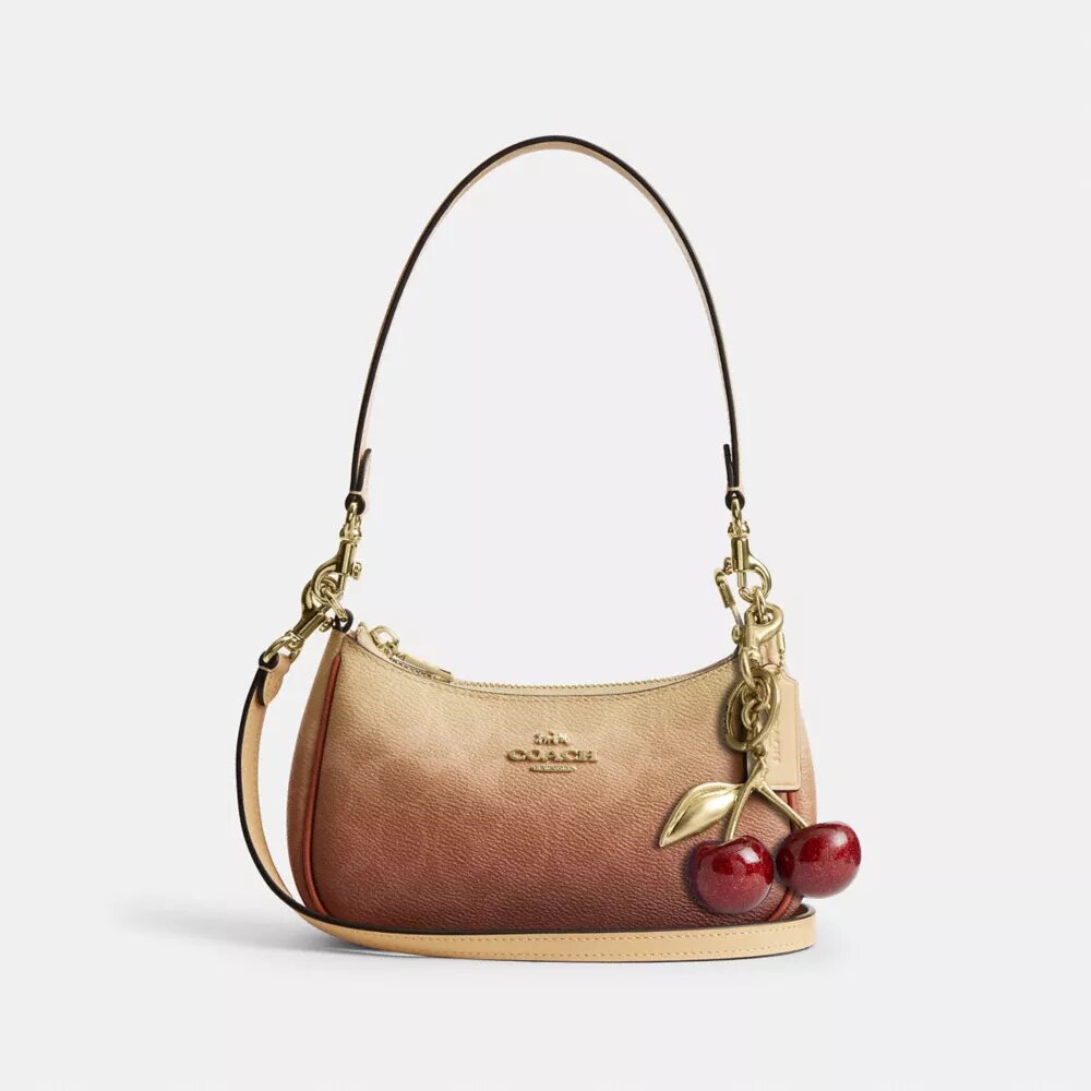 Teri Mini Crossbody Bag in Ombre Signature Canvas