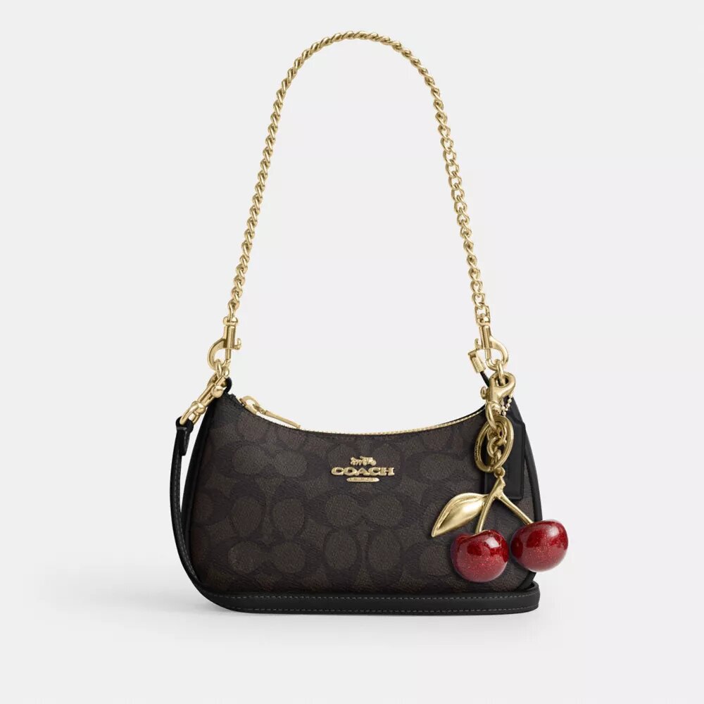 Teri Mini Crossbody Bag in Signature Canvas