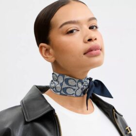 Textured Signature Print Silk Skinny Scarf