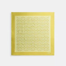 Textured Signature Print Silk Square Scarf