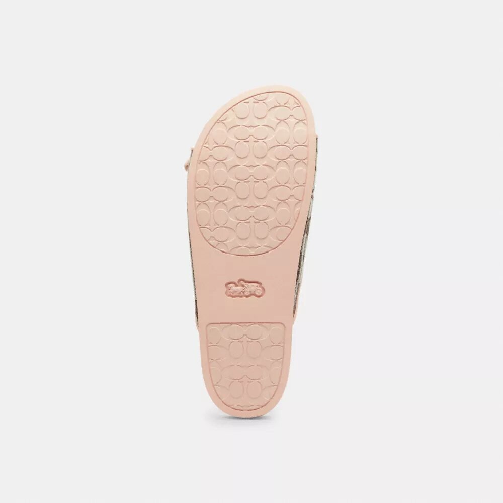 Two Band Buckle Sandal in Signature Jacquard