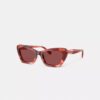 Wire Cat Eye Sunglasses
