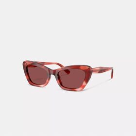 Wire Cat Eye Sunglasses