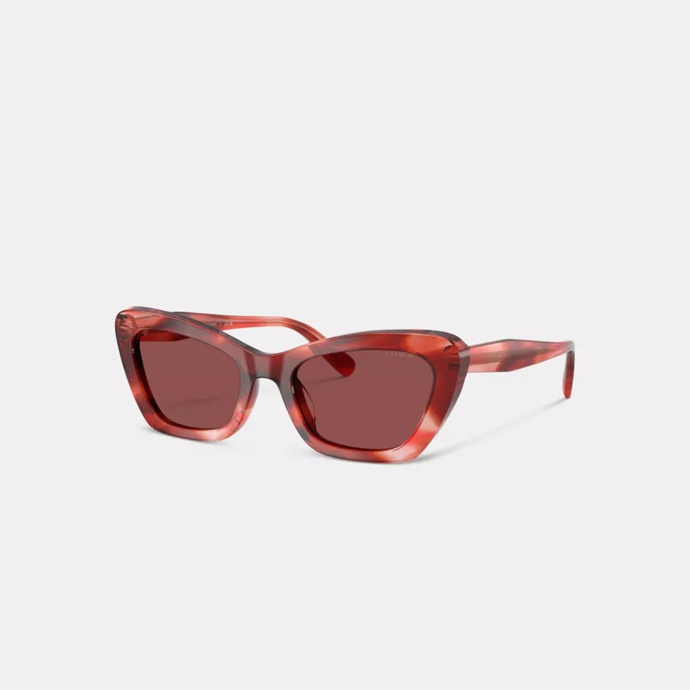 Wire Cat Eye Sunglasses
