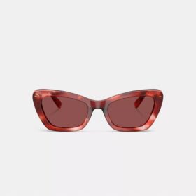 Wire Cat Eye Sunglasses