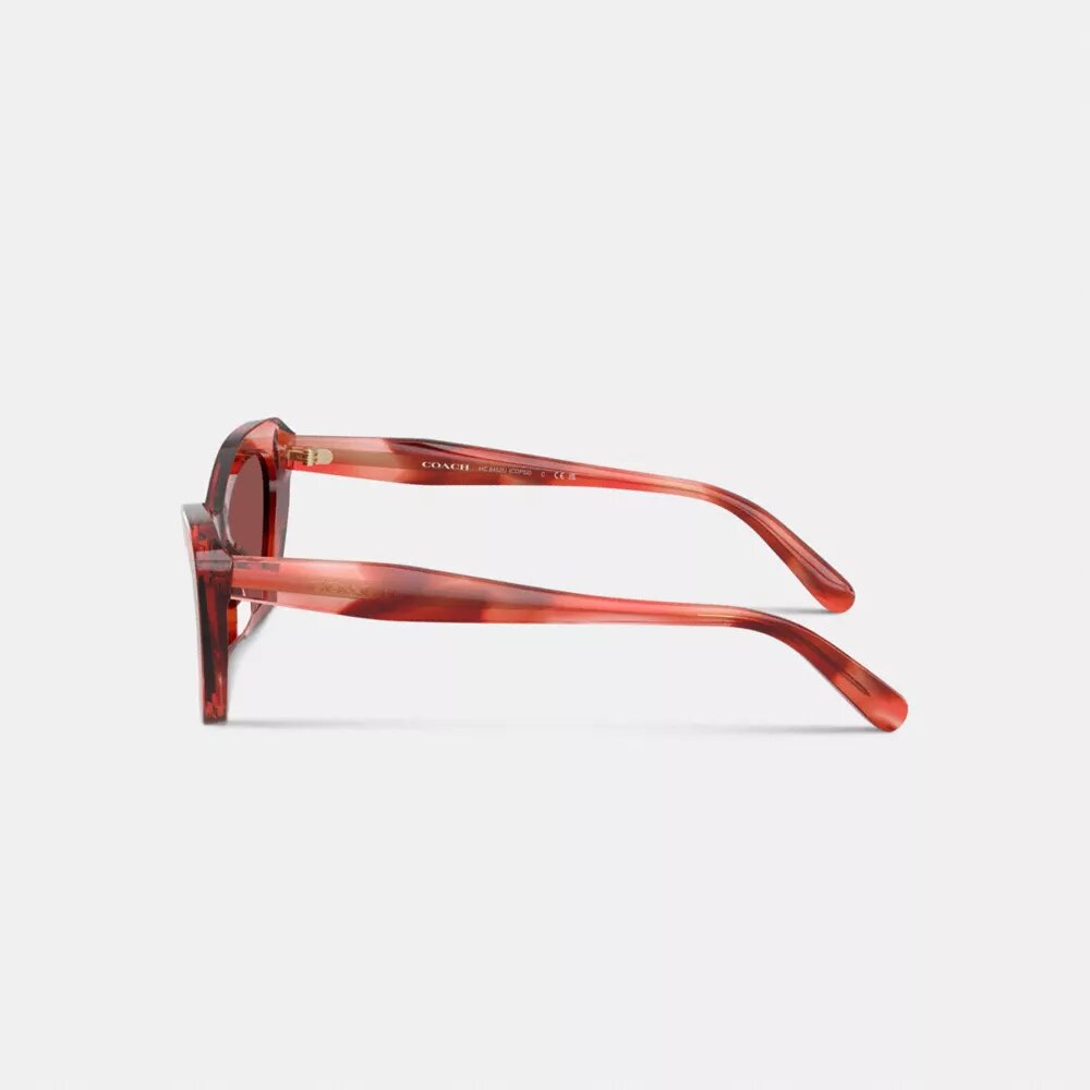 Wire Cat Eye Sunglasses